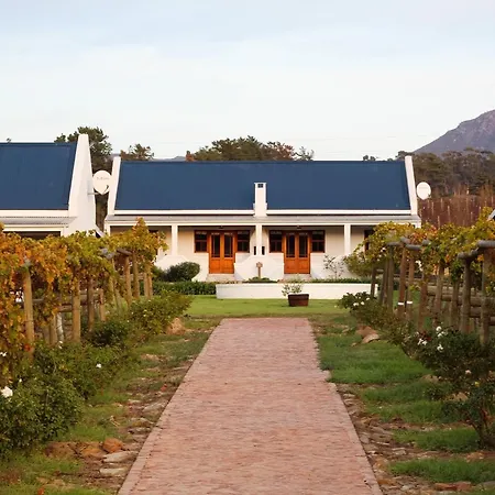 Endless Vineyards At Wildekrans Wine Estate-2